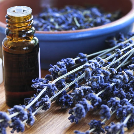 Chiropractic Merrill WI Lavender Essential Oil